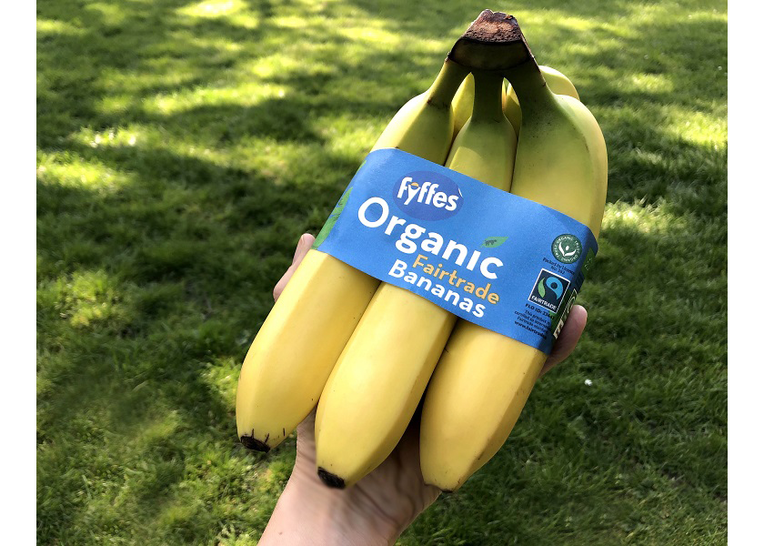 Fyffes releases first sustainability report and commits to reducing